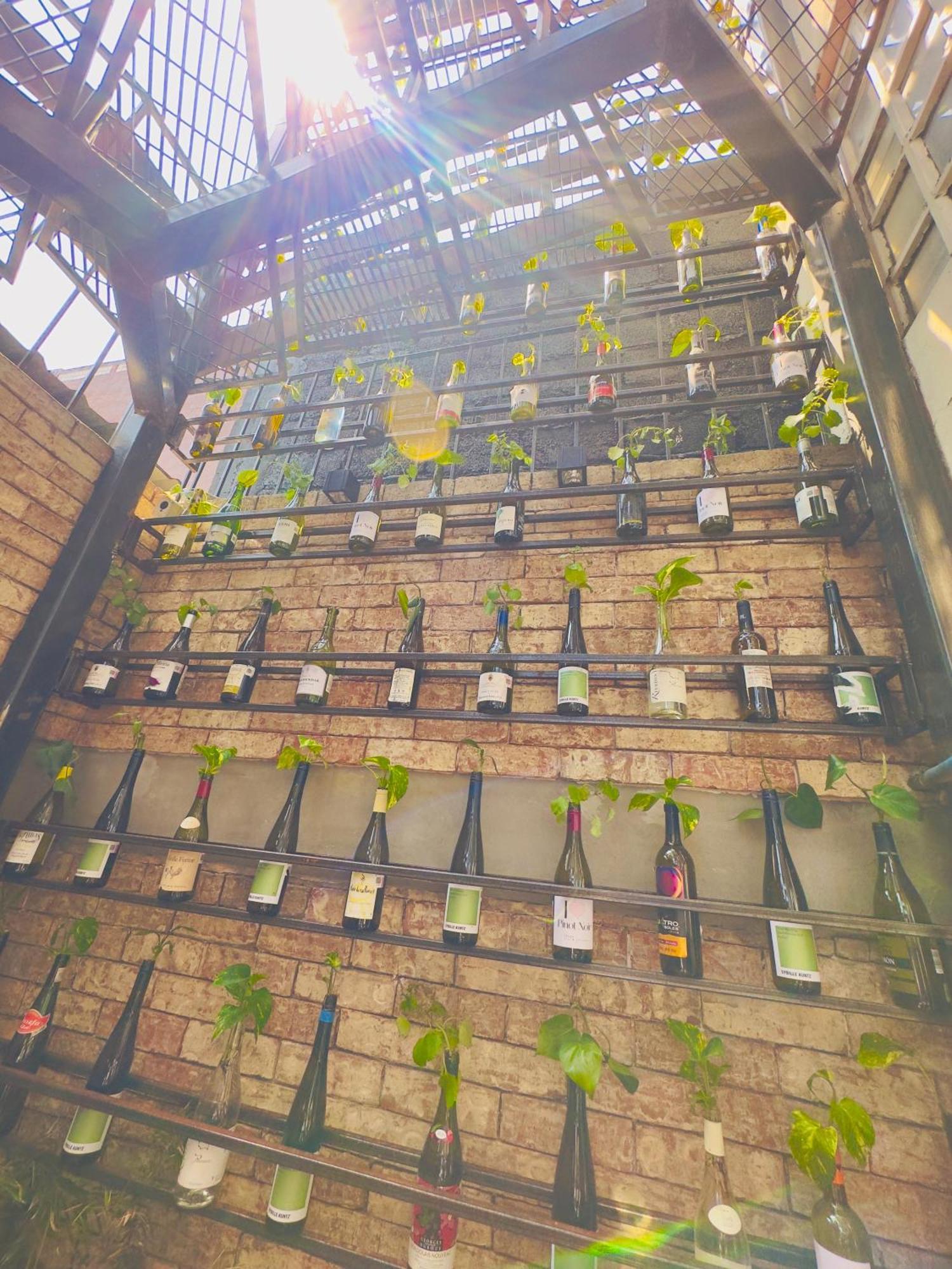 Del Lago Lofts Kota Meksiko Bagian luar foto